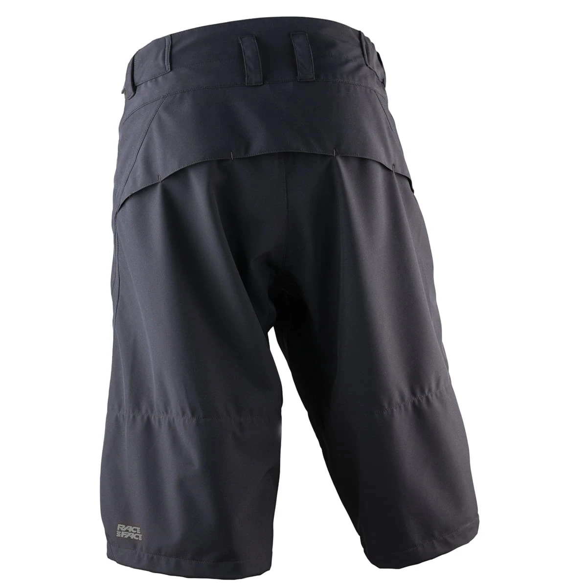 Race Face Agent Winter Shorts - Zwart 2 Race Face Agent Winter Shorts - Zwart - Afbeelding 2